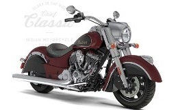 Indian Chief Custom Mirrors and Accessories