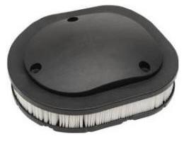 Indian Springfield | Dark Horse OEM Replacement Air Filter